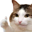 CatThumbsUp