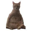 emoji_77