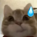 catsweat
