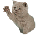emoji_1
