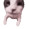 serverlandemoji559