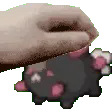 petPyukusola