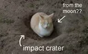 CATIMPACT