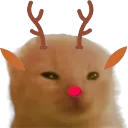 Glorpdolph