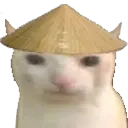 ChinaCat