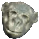 Monkey Monkey