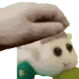 MolcarPet Discord emoji