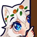 lyu_peek lyu_peek