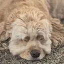 emoji_2