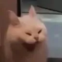 ahh