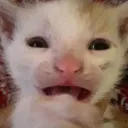 WAHHHHHH