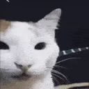 hehehe hehehe