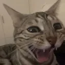 emoji_8