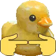 DuckyShy
