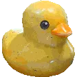DuckyFamilly