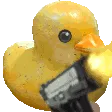 DuckyGun