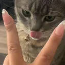 blblblbl