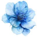 h001_flower