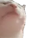catJAM