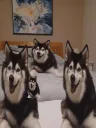 skye_4