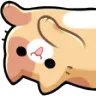 cat1