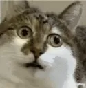 emoji7