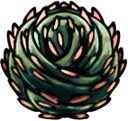 Thorns_of_Agony1