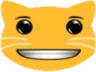 cat_RobloxSmile