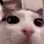 :plink: