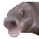 :OOOOO: