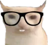 mazennerd