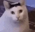 huh