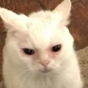 tired