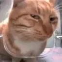 erm