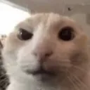 isthatso