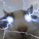 youshouldwiresNOW