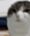 emoji_1