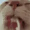 Lick