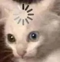 catbuffering