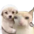 el_Wadafa_yelpanaFrienddandoleun