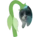 wiltedgulp