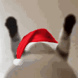 gatitonavid animated GIF emoji from Roblox LatinoAmerica⭐