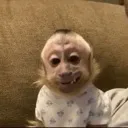heh heh