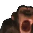 MONKE