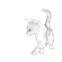 whitekitten Discord emoji
