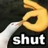 shut