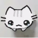 CatCry CatCry