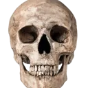 RealisticSkullEmoji
