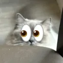 pepper_noticing