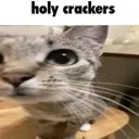 Holy_Crackers Holy_Crackers
